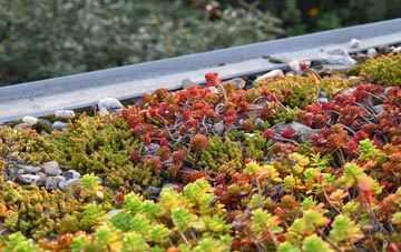 the cost of Ardleigh green roof installation